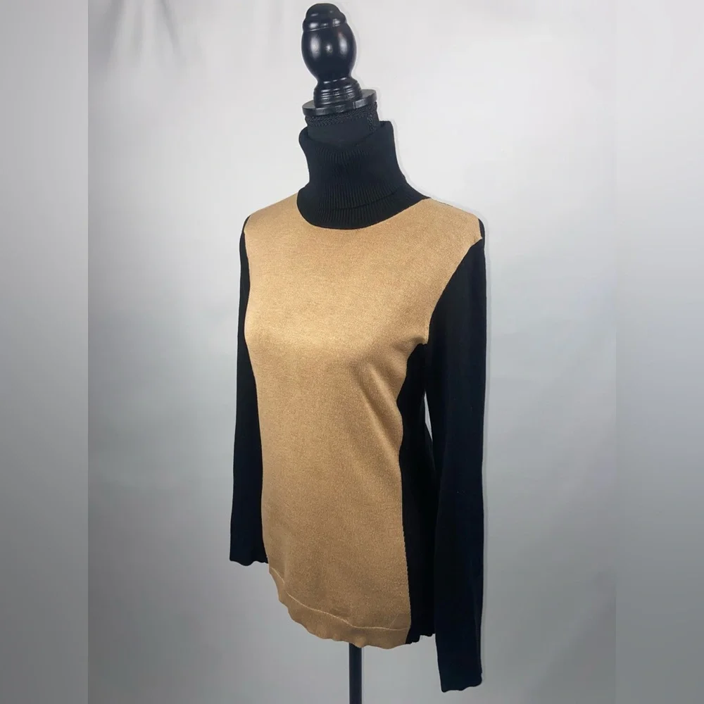 The Limited turtleneck sweater